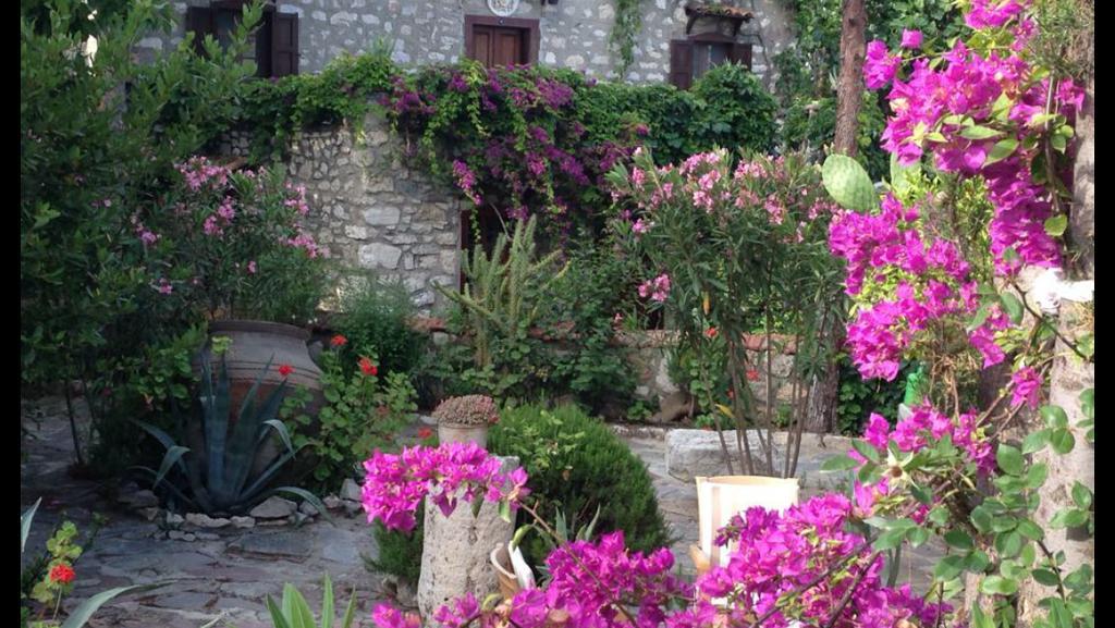 דידים Medusa House Butik Hotel מראה חיצוני תמונה