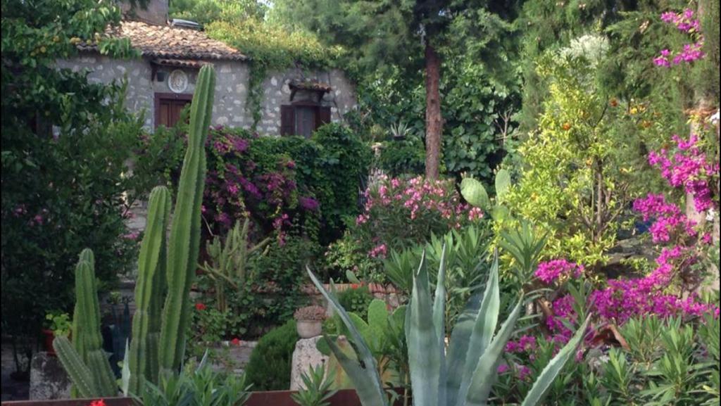 דידים Medusa House Butik Hotel מראה חיצוני תמונה