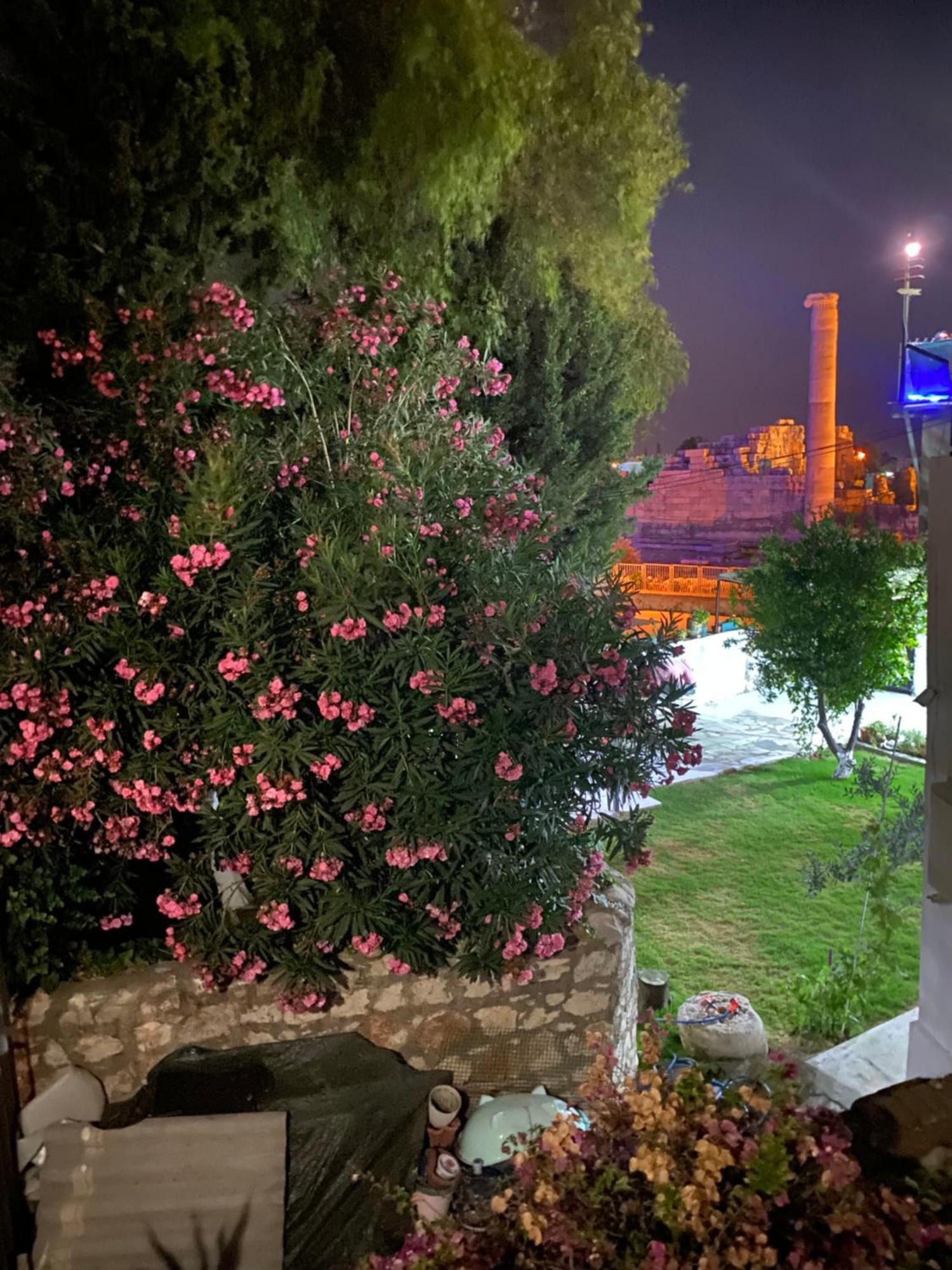 דידים Medusa House Butik Hotel מראה חיצוני תמונה