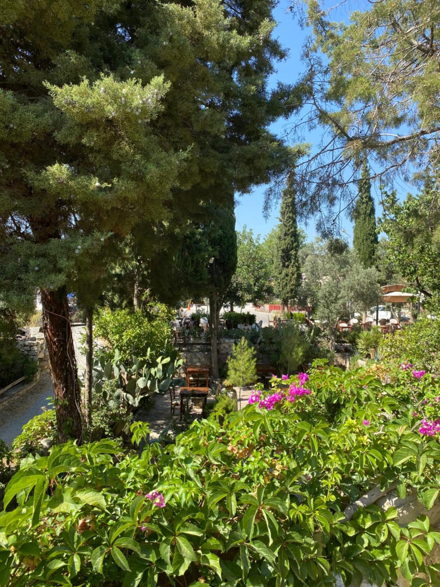 דידים Medusa House Butik Hotel מראה חיצוני תמונה