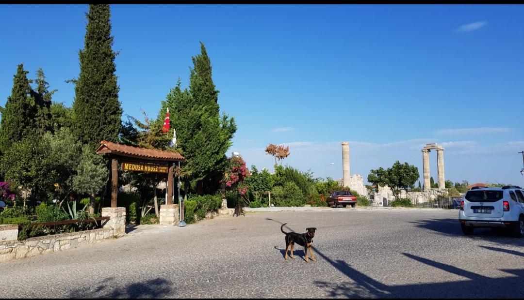 דידים Medusa House Butik Hotel מראה חיצוני תמונה